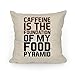 Produktbild Klotr Kissenbezug Caffeine Foundation Cushion Covers Throw Pillow Case 18 X 18 inches