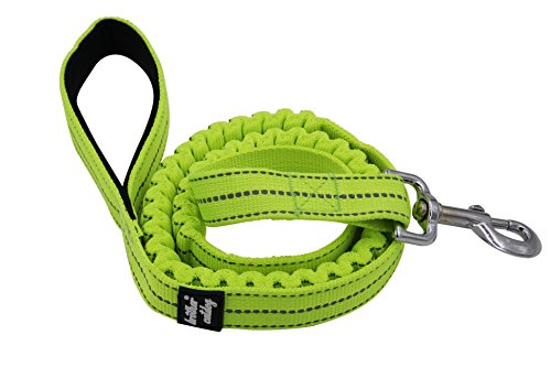 Preisvergleich Produktbild Moonpet – Hochwertige reflektierende Nylon-Hundeleine, 3M, strapazierfähig, gepolsterter Griff, 122 cm lang und 2,5 cm breit, elastischer, stoßdämpfender Gummizugbereich, geringes Gewicht, für kleine, mittelgroße und große Rassen