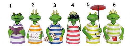 Zaunhocker Frosch verschiedene Motive wählbar Preis pro STÜCK ( Motivwunsch per EMail mitteilen)