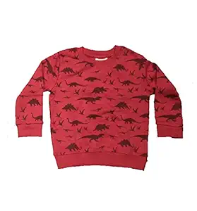 Wonder Star Baby Boys & Baby Girls, Fleece Round Neck Sweatshirt Jacket/Sweater (6-7 Years)