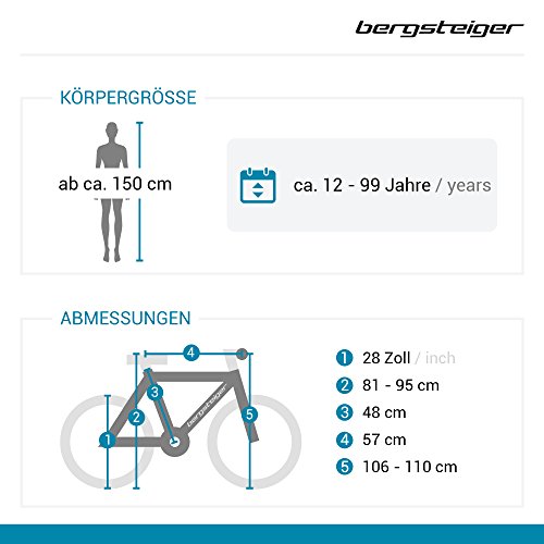 Bergsteiger Amsterdam 28 Zoll Damenfahrrad, Korb + Licht, Retro-Design - 2