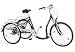 Produktbild Wild Eagle Dreirad 26/24" Elektro Made in Germany schwarz