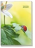 Taschenkalender A6 