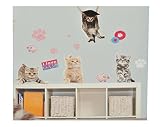 XL Set: Wandtattoo / Sticker – Kätzchen Katzen mit Pfoten – Postersticker – Wandsticker Aufkleber Poster Tiere Tier - 2