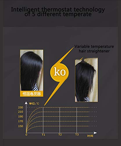 Ceramic Hair Straightener Dual Voltage Hair Styler Advanced Ceramic Styler with Adjustable Temp LCD Display Auto Shut Off Instant Heat Up