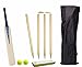 Wsg Cricket Set for Juniors Size 5 Age 7 to 9 for tennis ball play RS.959.00