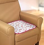 Protege asiento ocasiones fiable contra líquidos no deseadas