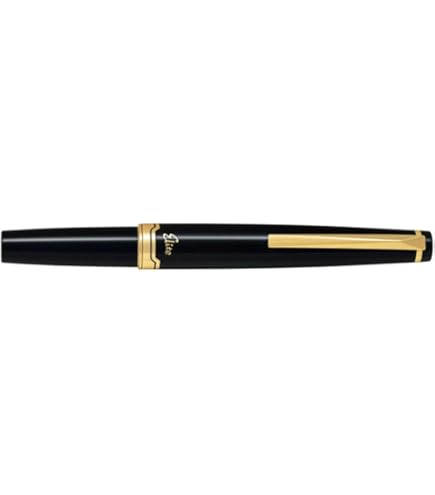 PILOT GREEN CUSTOM 74 14KT M NIB GOLD FOUNTAIN PEN : Amazon.in