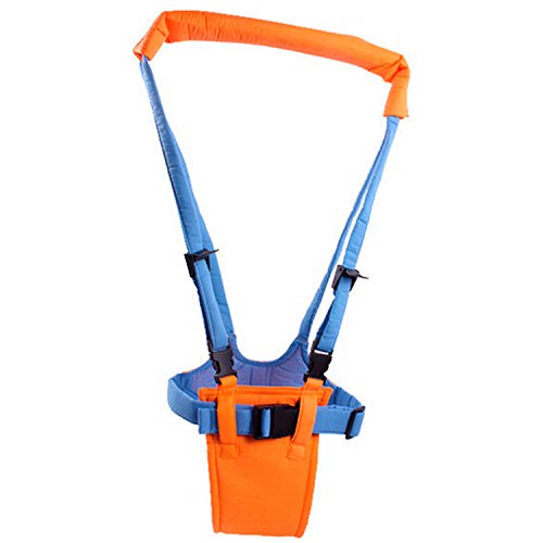 Zanasta Lauflernhilfe für Baby und Kleinkinder mit stabilem Griff und verstellbare Gurte | Für mehr Sicherheit beim Laufenlernen, Orange-Blau