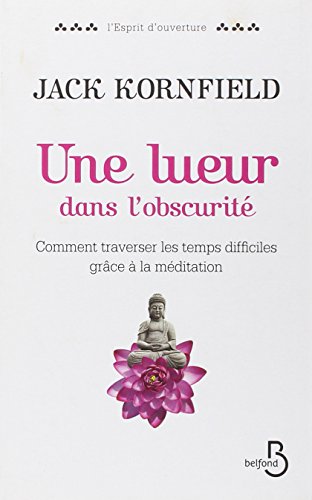 couverture de : Une lueur dans l'obscurit&eacute;