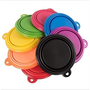 SUNXIN Nueva TPE mascota plegable tazón perro tazón alimentos al por mayor perro fuente de agua potable conveniente tazón