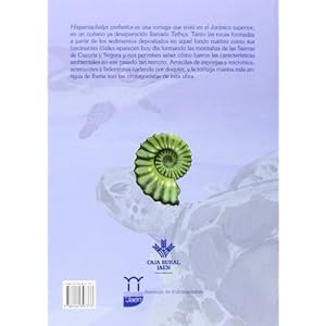 Hispaniachelys prebetica: una tortuga de hace más de 155 millones de años: Reconstrucción paleoecológica y ambiental (Juan Pérez de Moya)