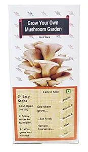 ProV Rich Live Mushroom for Indoor / Home - Mushroom Grow Kit