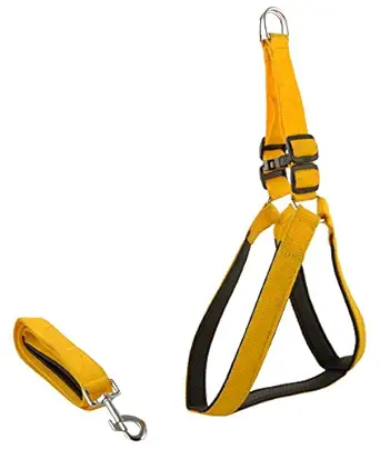 Skora Dog Nylon Harness and Leash Set yellow with Padding medium 1 Inch