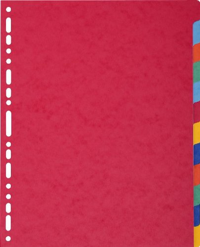 Book's Cover ofExacompta Réf 2612E Un Paquet de 12 Intercalaires en Carte Lustrée 400 gm A4 Maxi Couleurs Assorties