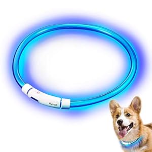 Collar para Perros, Collar de Seguridad para Perros, Rymall collar adiestramiento USB ajustable recargable impermeable LED parpadea luz Collar del animal doméstico, azul