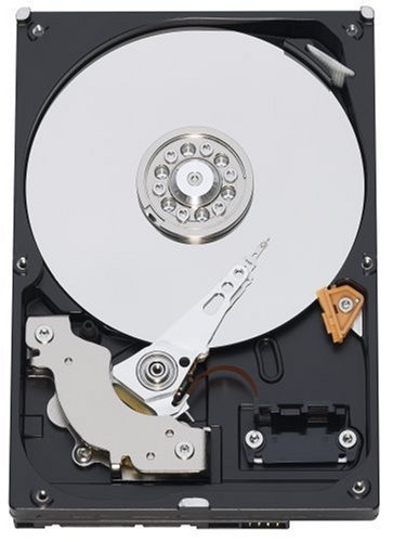 Preisvergleich Produktbild Western Digital Caviar Blue 320GB SATA II 16MB