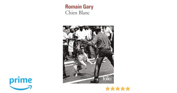 Broché La Vie Devant Soi Pdf