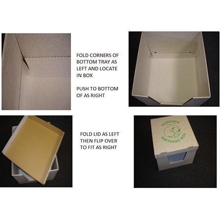 Disposable-Whelping-Box-with-Pig-Rails-Small