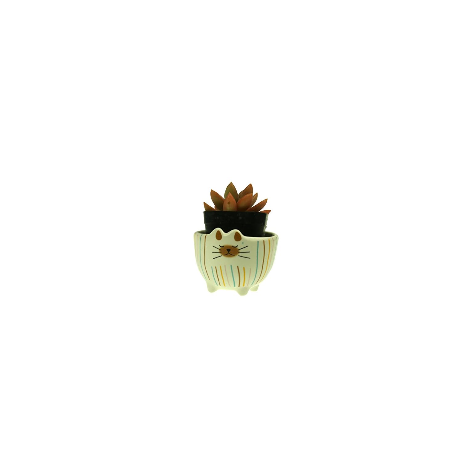 Tienda | Flores Artificiales