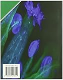 Image de Fisiología vegetal (Ciències Experimentals)