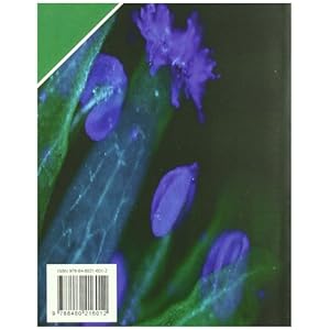 Fisiología vegetal (Ciències Experimentals)