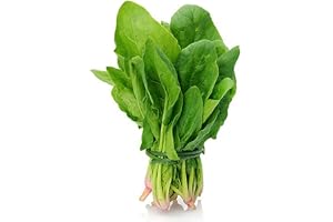 Kraft Seeds Baby Spinach Vegetable Seeds Heirloom Variety Easy To Grow Best Suitable For Garden And Home (6gram)