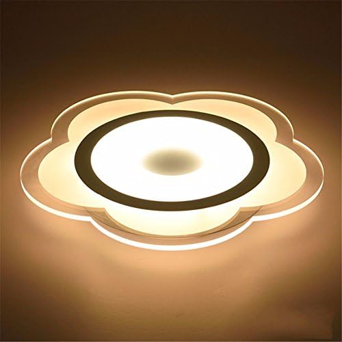 SLKDJFN The Living Room Ceiling Lamps Led Creative Fashion Creative Ultra-Thin Living Room Bedroom Warm Romantic Restaurant Snuff Shaped Ceiling Lamps 620Mm Ceiling Lighting