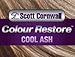 Colour Restore Cool Ash Anti Orange Multiple Use Hair Toner - Bainsh Warm Tones - By Scott Cornwall