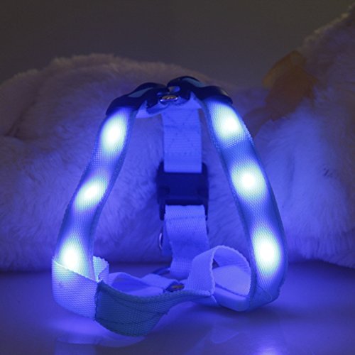 Strong-Rope-Dog-Training-Leads-And-Harnesses-Set-Blue-Small