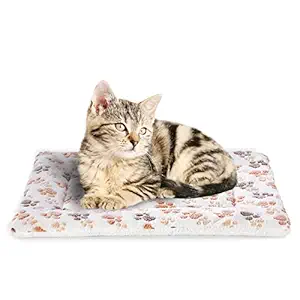 DeaLott Ultra Soft Pet (Dog/Cat) Bed with Cute Prints | Reversible Fleece Crate Bed Mat | Machine Washable Pet Bed Liner