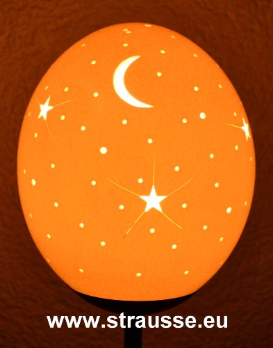 Straußenei-Lampe "Mond-Himmel-Sterne" ohne Ständer - Straußenfarm Chemnitz