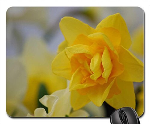 Preisvergleich Produktbild Krokusse Mauspad, Mousepad (Blumen Mauspad), Gummi, #007, Doppelbett