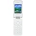 Darago 245 Flip Mobile Phone RS.1615.00