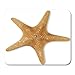 Produktbild AOCCK Gaming Mauspads, Gaming Mouse Pad Red Fish Sea Star White Clipping Path Starfish Creature 11.8"x 9.8" Decor Office Nonslip Rubber Backing Mousepad Mouse Mat