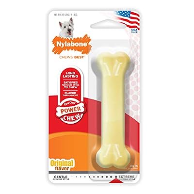 Nylabone Dura Chew Os Original pour Chien Regular
