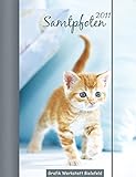 Samtpfoten 2011: Terminplaner by