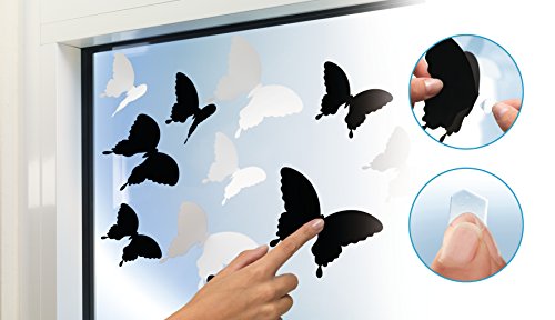 TESA TACK Transparente 60pieza s  - Cinta adhesiva  Transparente  60 pieza s  