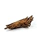 Mangrovenwurzel für Aquarien und Terrarien 12 - 15 cm Wurzel Mangroven