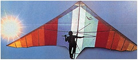 Bottari 22081 Curtains For Car