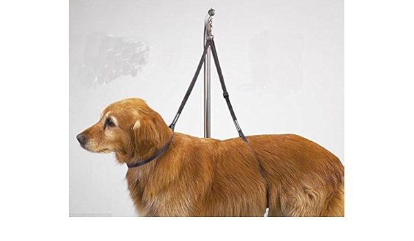 grooming table amazon