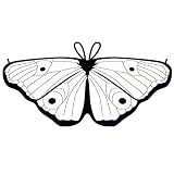 Yvelands Kinder Kind DIY Butterfly Cape Wings Kreative Angel Wings Dress up Costume(E,118x48CM)