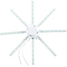 Amazon.es: Iluminación de techo de interior: Iluminación