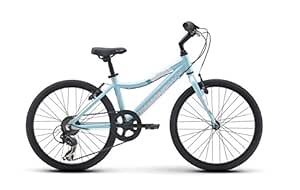 diamondback clarity 20