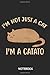 Produktbild I'm not just a cat i'm a catato Notebook: DIN A5 Notizbuch | 110 Seiten liniertes Notizheft | Katzen geschenk | Geschenkidee | Geburtstagsgeschenk | haustier