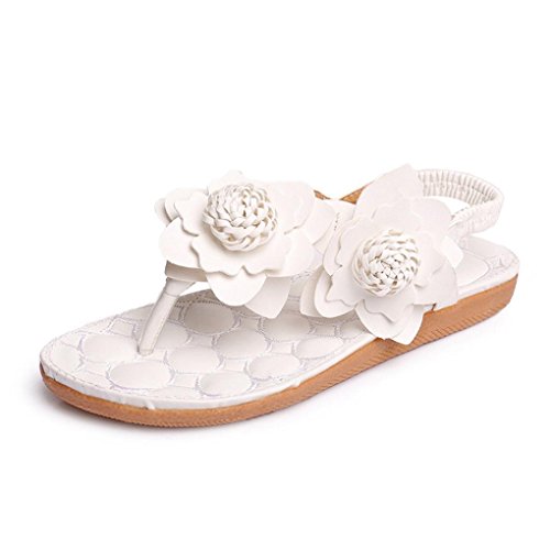 Römer Sandalen Damen Sommer Flache Schuhe Flip Flops von Xinan (37, Weiß  )