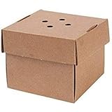 BIOZOYG 100x Burger-Box Karton mit Klappdeckel I Bio Hamburger Karton Kompostierbare Verpackung Burger aus Kraftkarton mit Lo