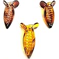 BHARATGAURAV - Hair Accessories Medium-Size Multi Color Imported Acrylic Material Butterfly Hair Clips For Women (Pack of 3 Pc) Clutchers Banana Hair Clips