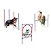 Produktbild Hundetrainingsset, Agility Set, Hundesport, Hürdenparcours | Farbe: rot, blau | Slalom Stangen und Ringhürde