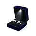 Produktbild Ring Box, High-End beleuchtete Schmuckschatulle, LED-Licht Ring Box, Ehering Box, Ehering Box,F,Schmuckkästchen